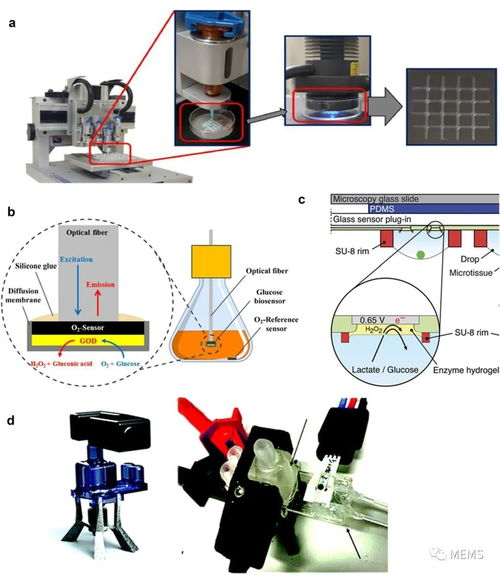 用于細(xì)胞培養(yǎng)監(jiān)測的傳感器研究進(jìn)展