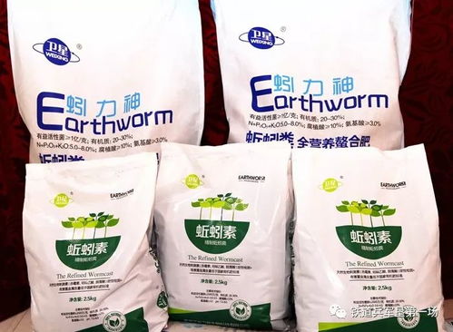 八五〇大米火爆淘鄉甜 熱銷雙十一