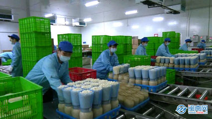 云霄 生物科技助力穩產保供，讓市民“菜籃子”拎得更穩